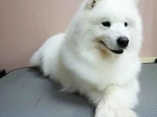 Шик модерн, Октябрьская, 5 