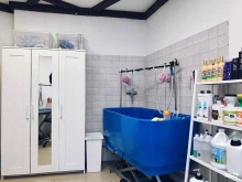 Wetnose, улица Москворечье, 31 к1 