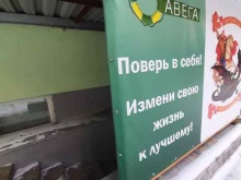 Центр бизнес-консалтинга Авега центр в Омске