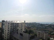 компания Регион энерго в Сочи