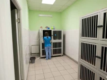 ветеринарный центр Котонай в Великом Новгороде