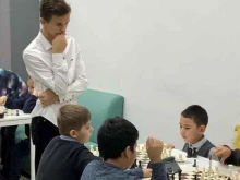 шахматная школа Феномен в Саратове
