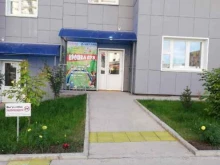 детский центр семейного доверительного воспитания Крошка Пух в Красноярске