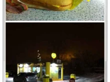 доступная кофейня Подорожник в Оби
