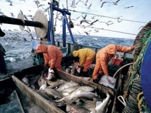 отделение дополнительного профессионального образования Камчатский морской энергетический техникум в Петропавловске-Камчатском