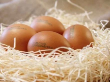 Яйцо Тульская птицефабрика в Туле