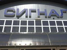 Сувенирные композиции Цветы без повода в Челябинске