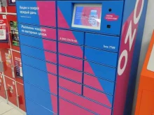 Постаматы Ozon в Барнауле
