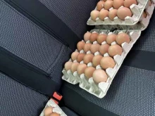 киоск по продаже яиц Птицефабрика Тульская в Туле