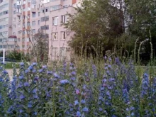 Континент, Терешковой, 10/4 