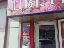 салон цветов и семян Орион в Чехове