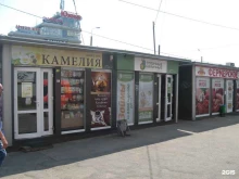 микрокредитная компания Отличные наличные в Калининграде