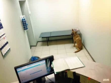 ветеринарный кабинет Вета в Пскове