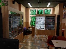 Табачные изделия Vape Club в Мурино