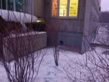 Алгоритмика, улица Никитина, 14 к1 