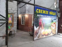 ИП Сальмаева О.Е. Магазин по продаже яиц в Туле