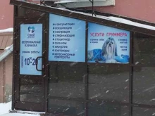 ветеринарная клиника Свой ветдоктор в Новосибирске