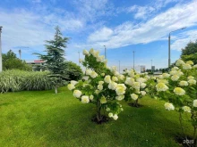 клининговая компания Клининг молл в Краснодаре