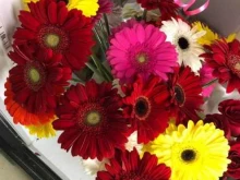 Услуги праздничного оформления Sofia Flowers в Челябинске