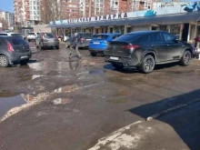 Доставка цветов Flowers_Shop163 в Самаре