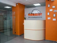 современный отель для кошек Terrakot в Перми