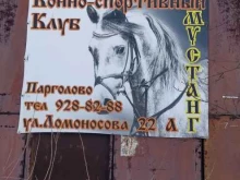 Мустанг, Ломоносова, 22а лит В 