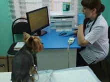 ветеринарная клиника Рекс-НН в Нижнем Новгороде