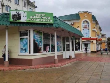 Головные / шейные уборы Магазин женской одежды в Орле