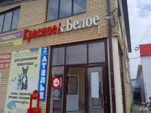 магазин Красное & Белое в Михайловске