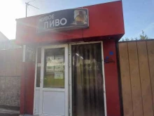 магазин разливного пива Живое пиво в Сочи