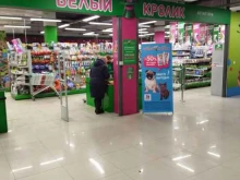 зоомаркет Белый кролик в Находке