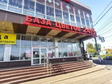 Сувенирные композиции База Цветов 24.ру в Нижнем Новгороде