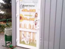 Кошкин дом, проспект Строителей, 46г 