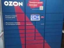 автоматизированный пункт выдачи OZON Box в Казани