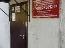 центр эстетического воспитания Песнохорки в Барнауле