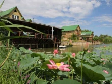 база отдыха Ольга в Астрахани