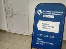 Организация и проведение тендеров / аукционов Росэлторг в Уфе