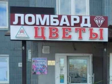 Копировальные услуги Рубин в Красноярске