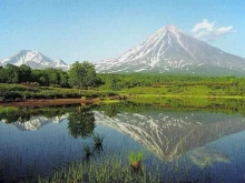 Организации природоохраны Ассоциация особо охраняемых природных территорий Камчатского края в Петропавловске-Камчатском
