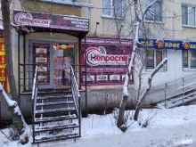 Непроспи, Мичурина, 120 