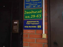 ТСЖ Горизонт, улица Алксниса, 46 