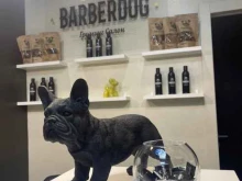 груминг-салон Barberdog в Пятигорске