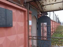 мастерская таксидермии Бекас в Санкт-Петербурге