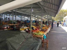 ярмарка Агромир в Краснодаре