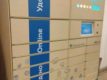 автоматизированный пункт выдачи Ozon box в Электрогорске