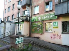 Центральная аптека, Пионерский проспект, 48 