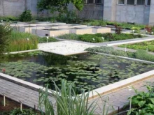 ВГСПУ Ботанический сад в Волгограде