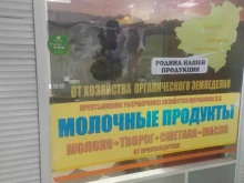 Магазин молочных продуктов, Ново-Садовая, 181р 
