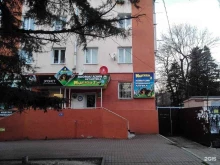 зоомагазин Мадагаскар в Туапсе