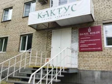 Кактус, улица Куйбышева, 38 